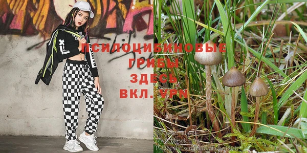 мескалин Заволжск